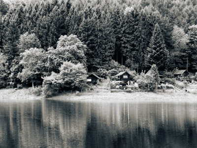 Rural Idyll Lake View Ringed By Evergreen Trees, Pastoral Lake Reflection by Ilona Wellmann Pricing Limited Edition Print image