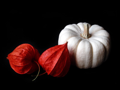Seed Pod And Pumpkin by Ilona Wellmann Pricing Limited Edition Print image