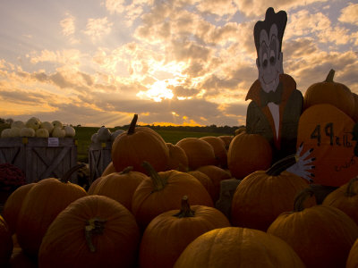 Sunset Casts A Glow Over A Halloween Vampire And His Pumpkins by Stephen St. John Pricing Limited Edition Print image