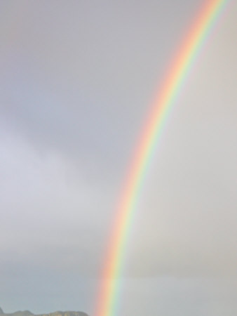 Rainbow Over New Zealand Owned Forested Snares Sub-Antarctic Islands by Steve & Donna O'meara Pricing Limited Edition Print image