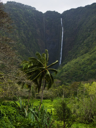 Waterfall Over The Cliffs Of Waipi'o Valley by Todd Gipstein Pricing Limited Edition Print image