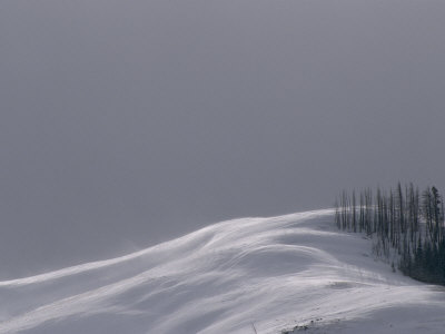 Rolling Snow-Covered Terrain Of Speciman Ridge by Tom Murphy Pricing Limited Edition Print image
