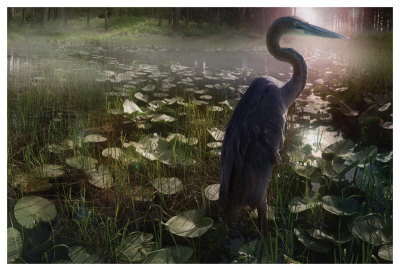 Mystic Heron by Steve Hunziker Pricing Limited Edition Print image