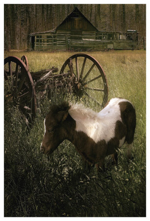 Wagon Pony by Steve Hunziker Pricing Limited Edition Print image