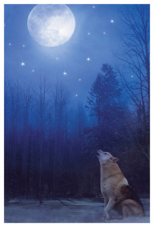 Lone Wolf by Stephanie Laird Pricing Limited Edition Print image