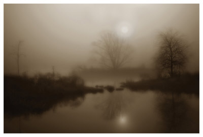 Sepia Soft by Dan Magus Pricing Limited Edition Print image