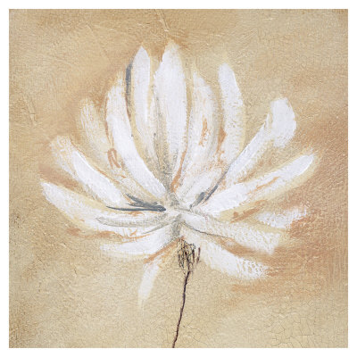 Tan And White by Sarah Parker Pricing Limited Edition Print image