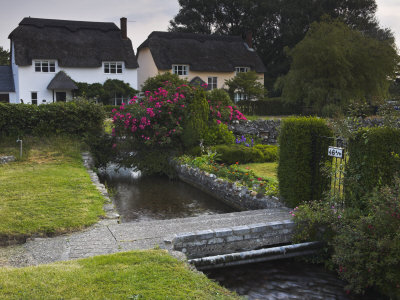 Pretty Village Of Wool In Dorset, England, United Kingdom, Europe by Adam Burton Pricing Limited Edition Print image