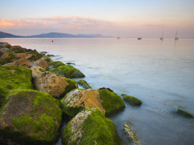 Pastel Sunset Over The Dorset Cliffs, As Seen From Lyme Regis, Dorset, England, United Kingdom by Adam Burton Pricing Limited Edition Print image