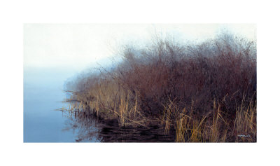 Grassy Marsh by Patrick Howe Pricing Limited Edition Print image