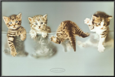 Hobby, Mindy, Tyson & Kc by Rachael Hale Pricing Limited Edition Print image