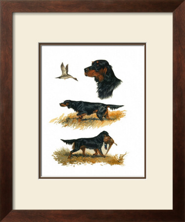 Gordon Setter by Rial Pricing Limited Edition Print image