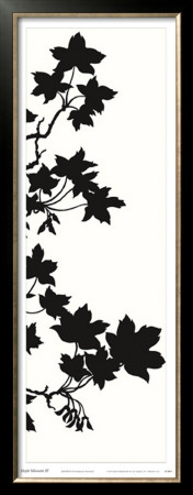 Maple Silhouette Iii by Judy Shelby Pricing Limited Edition Print image