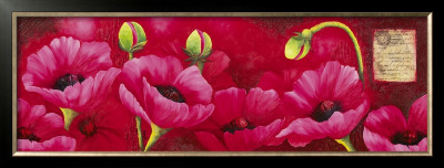 Planche D'anemones Fushia by Sylvi Pasquier Pricing Limited Edition Print image