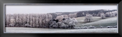 Winter Panorama by Ilona Wellmann Pricing Limited Edition Print image
