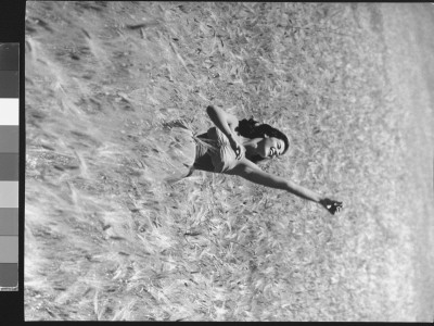 Pier Angeli In Strapless Chiffon Party Dress, In A Waist-High Field Of Ripened Wheat by Allan Grant Pricing Limited Edition Print image