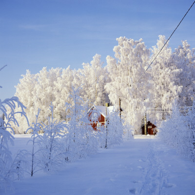 Wintertime, Varmland In Sweden by Mikael Andersson Pricing Limited Edition Print image