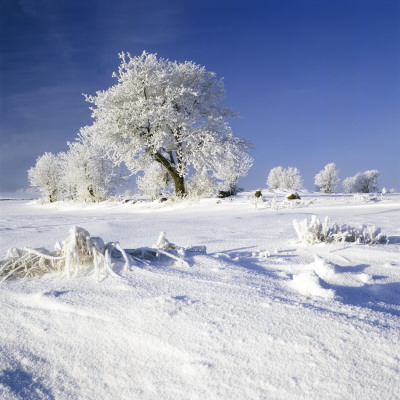 View Of A Rural Area Covered With Snow by Ove Eriksson Pricing Limited Edition Print image