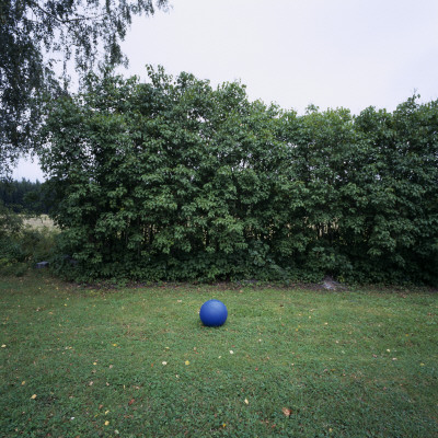 A Blue Ball In A Garden by Lars Wallsten Pricing Limited Edition Print image