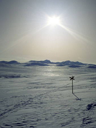 Bright Sunshine Above Snowy Landscape, Sweden by Bjorn Wiklander Pricing Limited Edition Print image