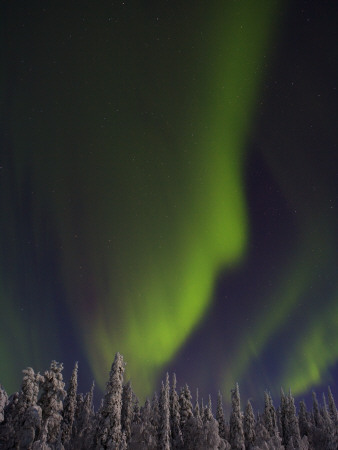Northern Lights (Aurora Borealis) In Finland by Anders Ekholm Pricing Limited Edition Print image