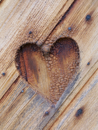 Symbolic Heart Cut In Wood, Norrland, Gotland, Sweden by Eva Hedling Pricing Limited Edition Print image