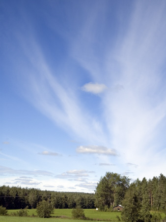 Countryside In Sweden by Inger Bladh Pricing Limited Edition Print image