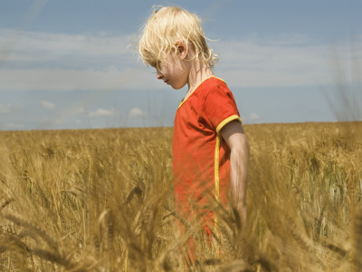 A Girl Standing In A Corn Field by Julia Sjoberg Pricing Limited Edition Print image