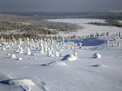 Winter Landscape, Salla, Finland by Kalervo Ojutkangas Pricing Limited Edition Print image
