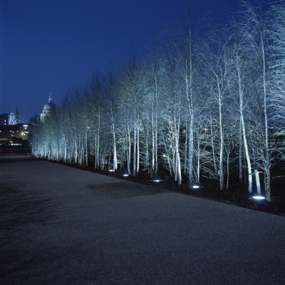 Tate Modern, London, View Of St, Paul's At Night Time by James Balston Pricing Limited Edition Print image