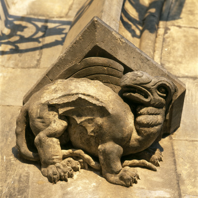 Griffon Detail On The Mala Strana Tower Of The Charles Bridge, Prague by Joe Cornish Pricing Limited Edition Print image