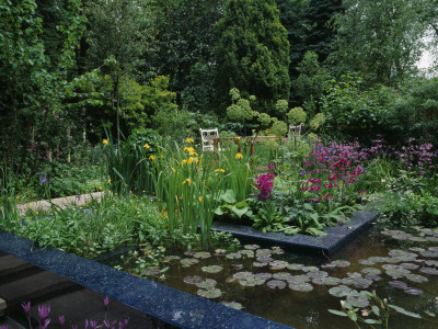 Chelsea Flower Show 2005: Real Rubbish Garden By Claire Whitehouse, Pond - Irises And Primulas by Clive Nichols Pricing Limited Edition Print image