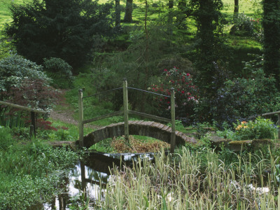 Dunge Valley Hidden Gardens, Cheshire: Bridge Across A Stream At The Bottom Of The Garden by Clive Nichols Pricing Limited Edition Print image
