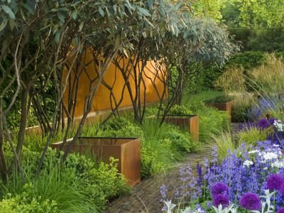 Chelsea Flower Show 2006: Daily Telegraph Garden Designed By Tom Stuart-Smith: Steel Wall And More by Clive Nichols Pricing Limited Edition Print image