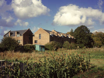 Student Accommodation, Jesus College, Oxford, Allotments At Rear, Architect: Maguire And Co by Charlotte Wood Pricing Limited Edition Print image