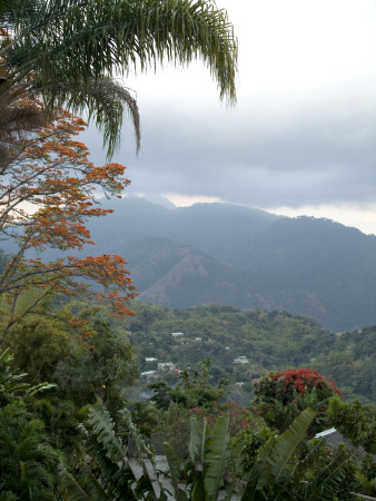 Strawberry Hill, Blue Mountains, Jamaica by Natalie Tepper Pricing Limited Edition Print image