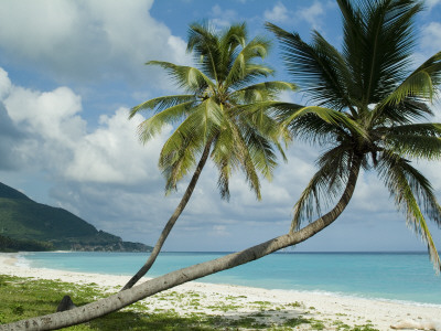 Paraiso Beach, Dominican Republic by Natalie Tepper Pricing Limited Edition Print image