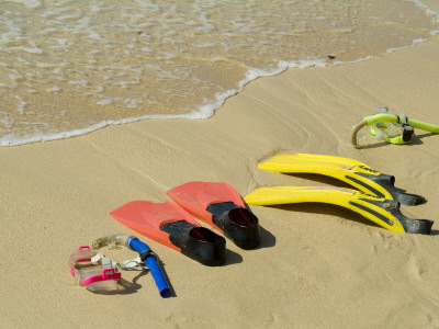 Snorkel Equipment, Sosua Beach, Dominican Republic by Natalie Tepper Pricing Limited Edition Print image