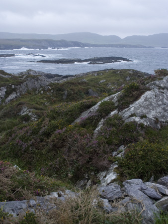 Beara Peninsula, County Cork, Republic Of Ireland by Natalie Tepper Pricing Limited Edition Print image