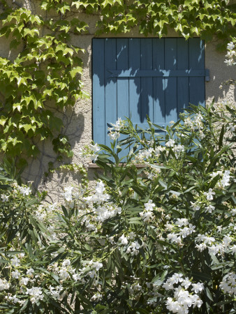 La Mas, Modern Traditional Style Provencal House, Window And Closed Shutter, Architect Chris Rudolf by Richard Bryant Pricing Limited Edition Print image