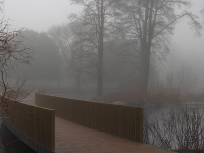Royal Botanic Gardens, Kew, London, The Sackler Crossing In Fog, Architects: John Pawson by Richard Bryant Pricing Limited Edition Print image