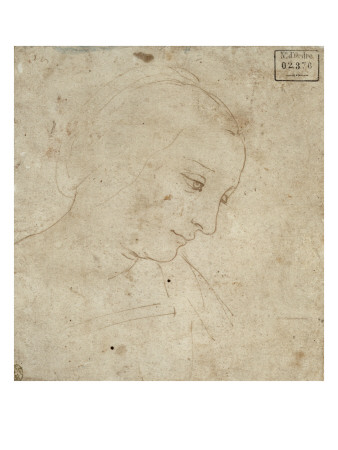 Tête De Jeune Femme, De Profil À Droite by Léonard De Vinci Pricing Limited Edition Print image