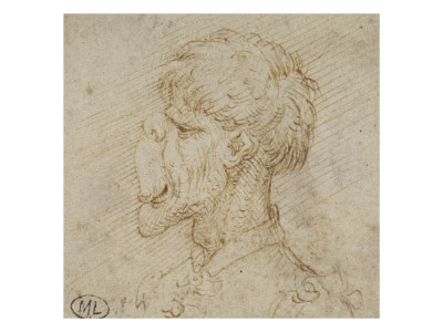 Tête D'homme De Profil, La Face Aplatie by Léonard De Vinci Pricing Limited Edition Print image