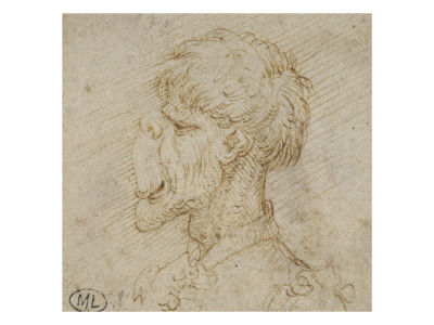 Tete D'homme De Profil, La Face Aplatie by Leonard De Vinci Pricing Limited Edition Print image