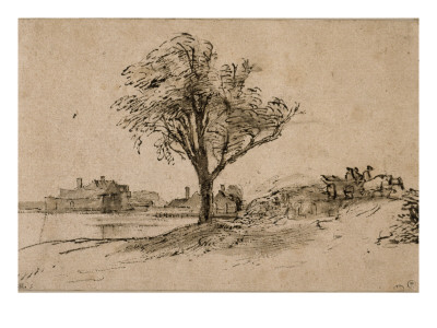 Arbre Au Pied D'une Digue (Diemerdijk ?) Où Passe Une Voiture by Rembrandt Van Rijn Pricing Limited Edition Print image