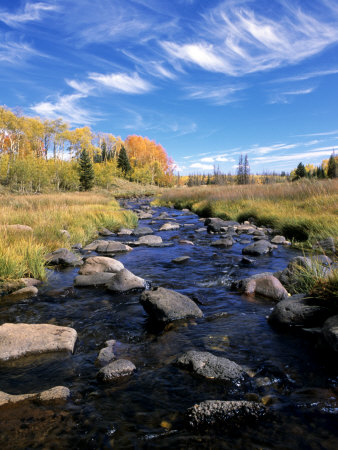 Stream In Fish Lake Mountains, Utah, Usa by Michael Defreitas Pricing Limited Edition Print image