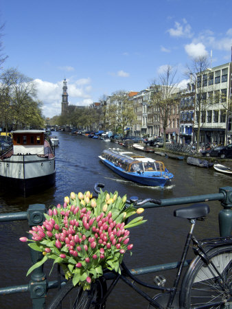Tulips And Bike On The Prinsengracht, Amsterdam, Netherlands by Jim Engelbrecht Pricing Limited Edition Print image