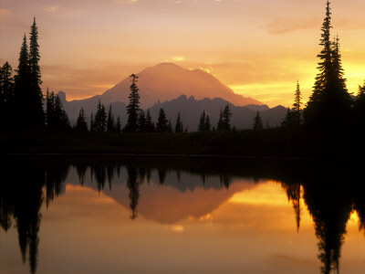 Upper Tipsoo Lake Reflection, Mt. Rainier National Park, Washington, Usa by Jon Cornforth Pricing Limited Edition Print image