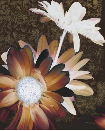 Velvet Daisy Ii by Matina Theodosiou Pricing Limited Edition Print image