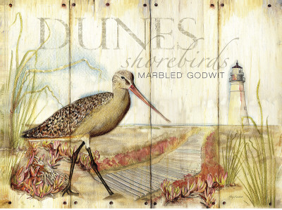 Dunes Shorebird by Mary Escobedo Pricing Limited Edition Print image